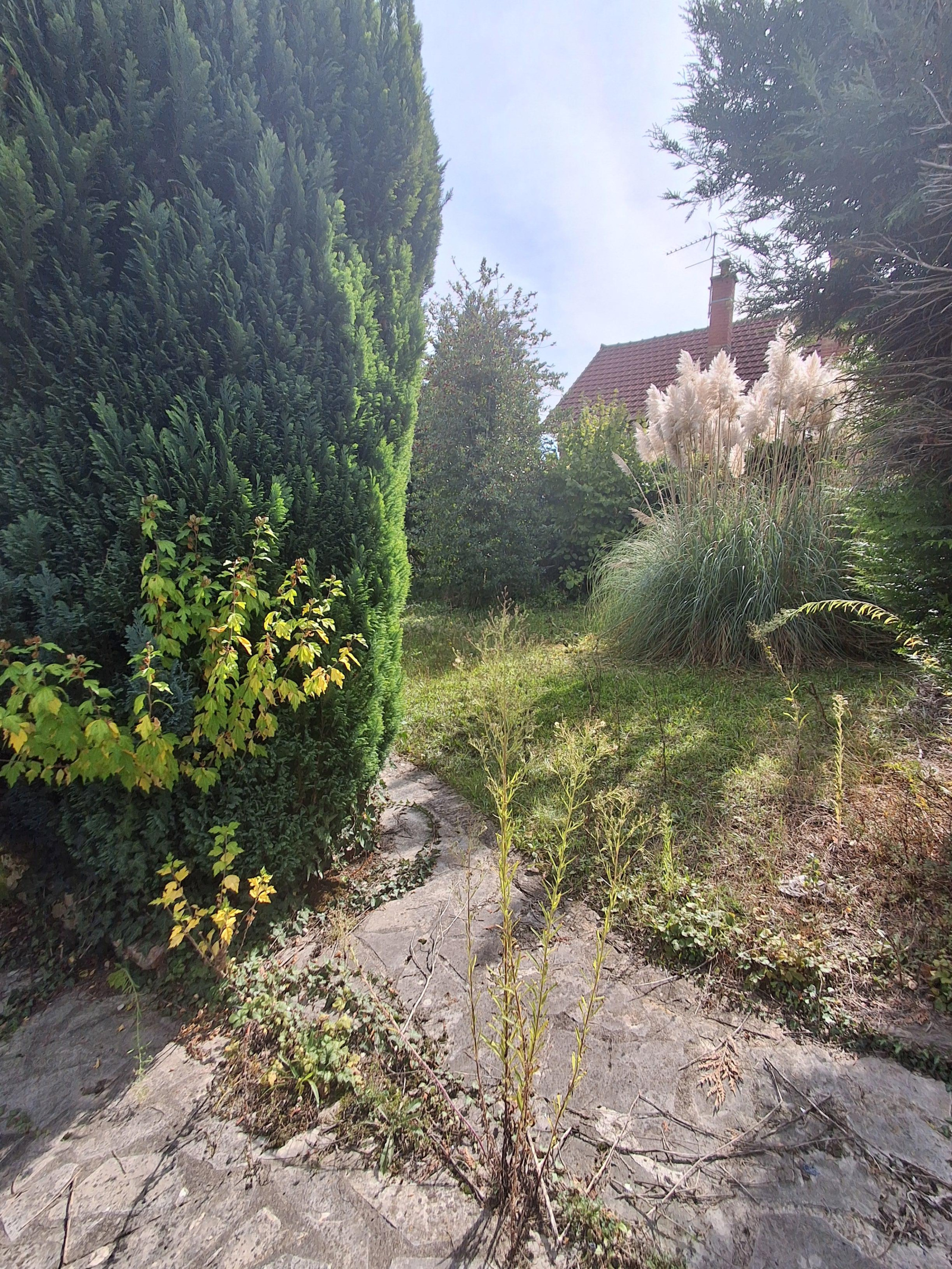 Image_5, Maison, Andrésy, ref :MVAP10000666