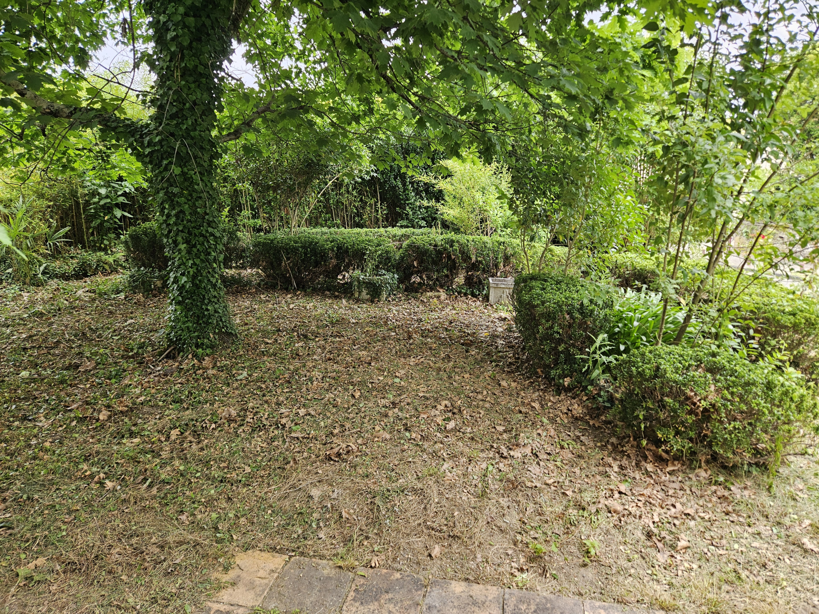 Image_8, Maison, Langon, ref :22