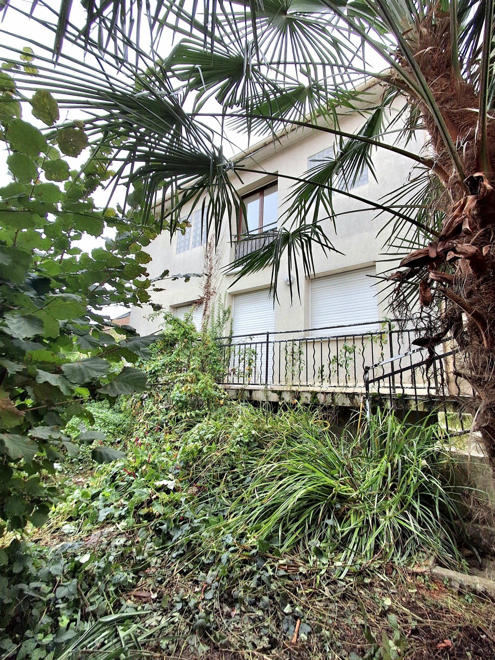 Image_1, Maison, Chaville, ref :1559