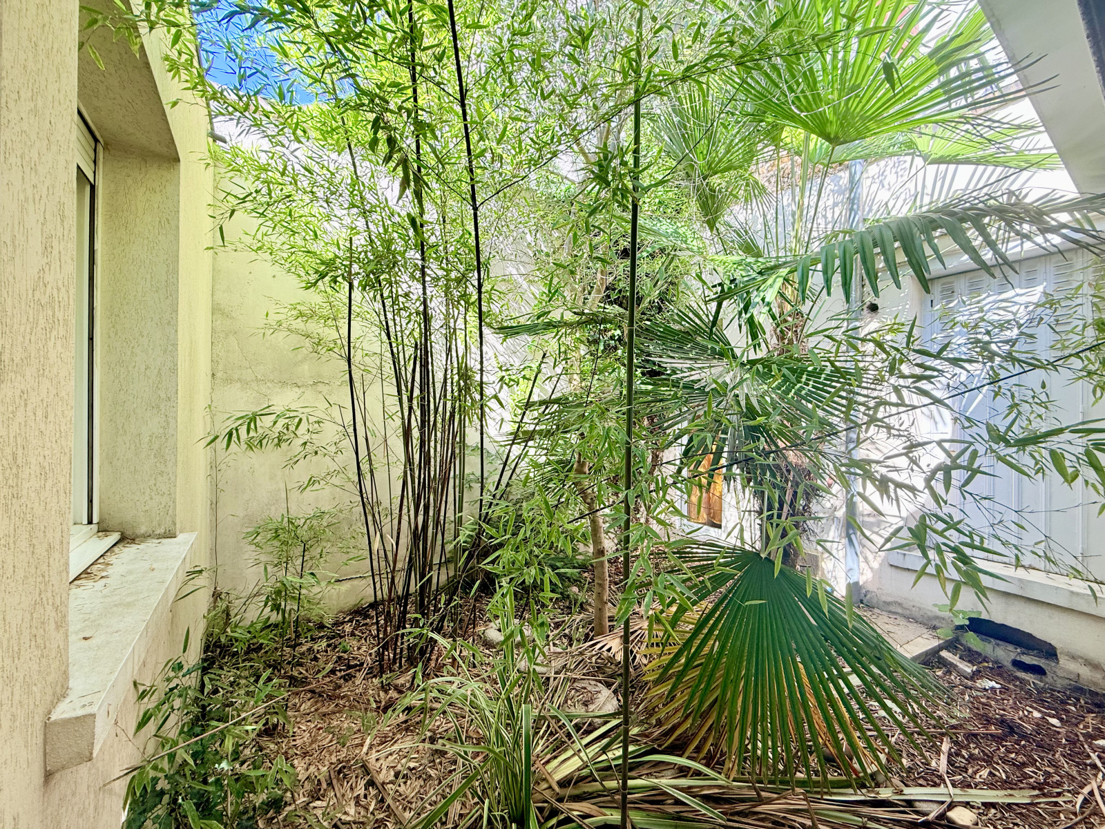 Image_9, Immeuble, Noisy-le-Sec, ref :1661